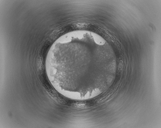 X0000115360651200912011114