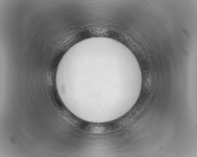 X0000115360658200912011114