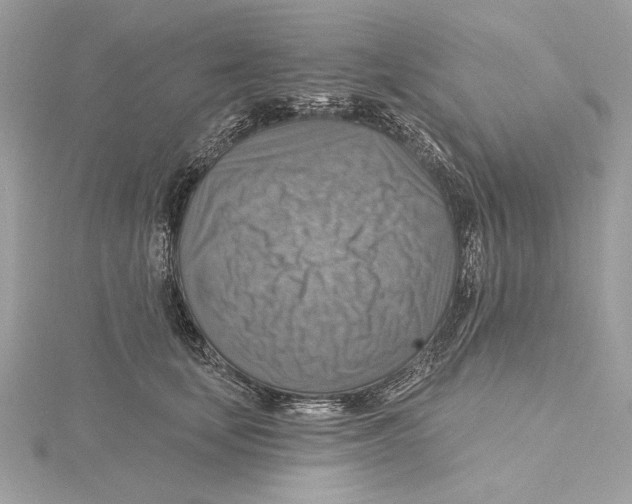 X0000115360659200912011114
