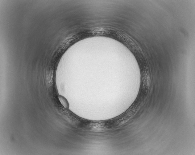 X0000115360660200912011114