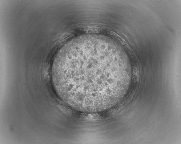 X0000115360663200912011114