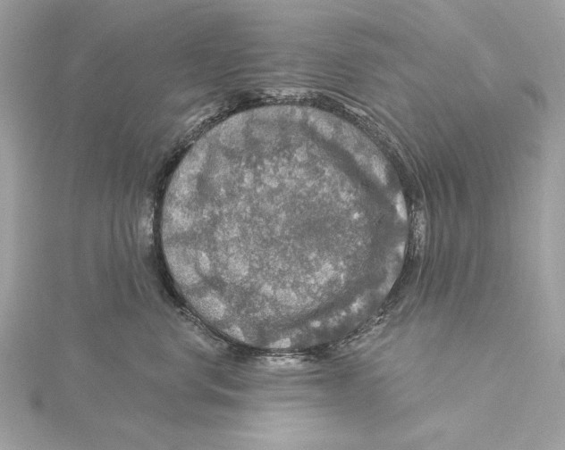 X0000115360668200912011114