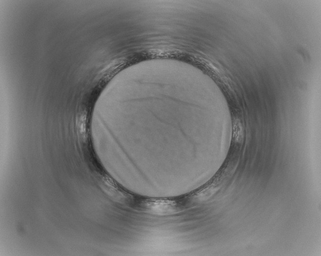 X0000115360670200912011114