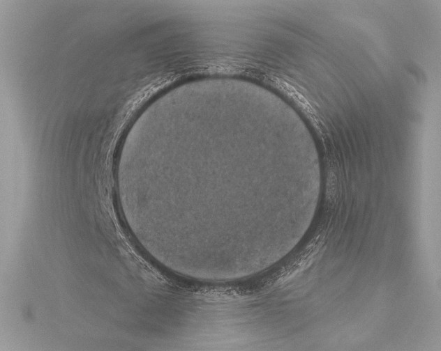 X0000115360673200912011113