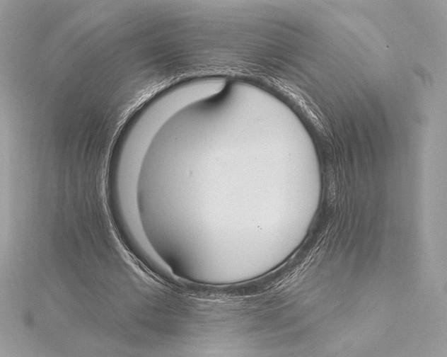 X0000115360677200912011113