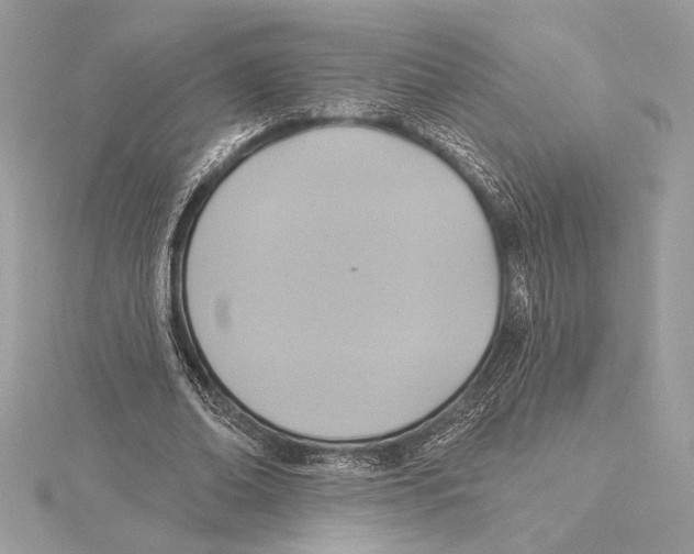 X0000115360678200912011113