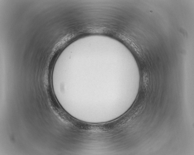 X0000115360682200912011113