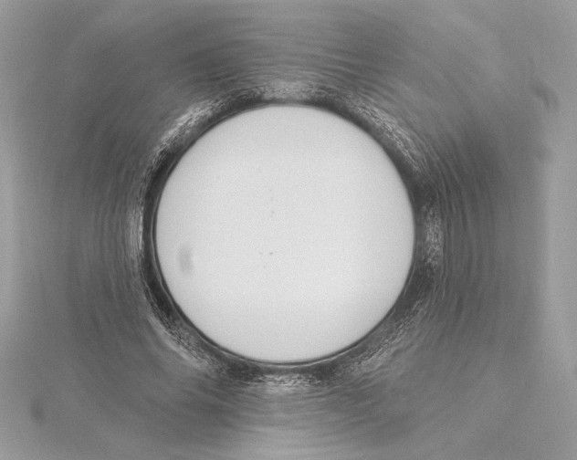 X0000115360686200912011113