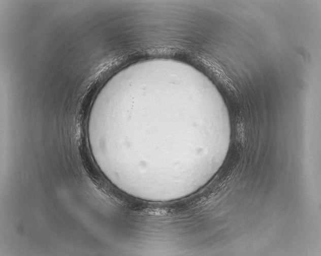 X0000115360687200912011113