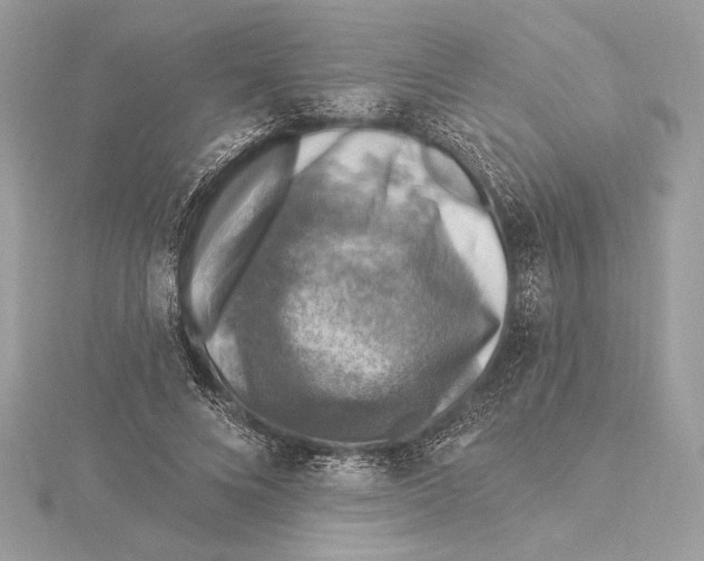 X0000115360688200912011113