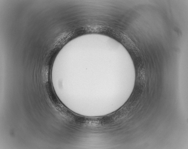 X0000115360694200912011113