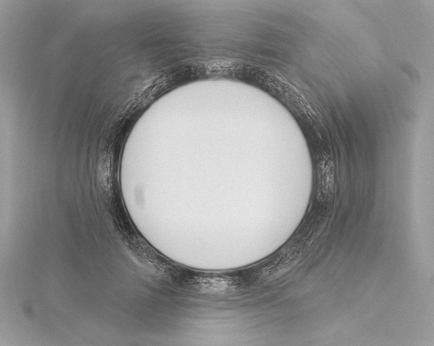 X0000115360698200912011113