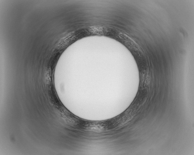 X0000115360702200912011113
