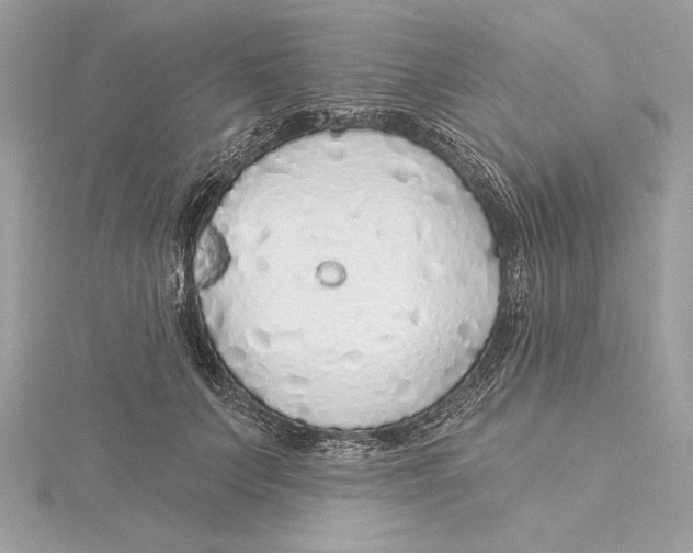X0000115360703200912011113