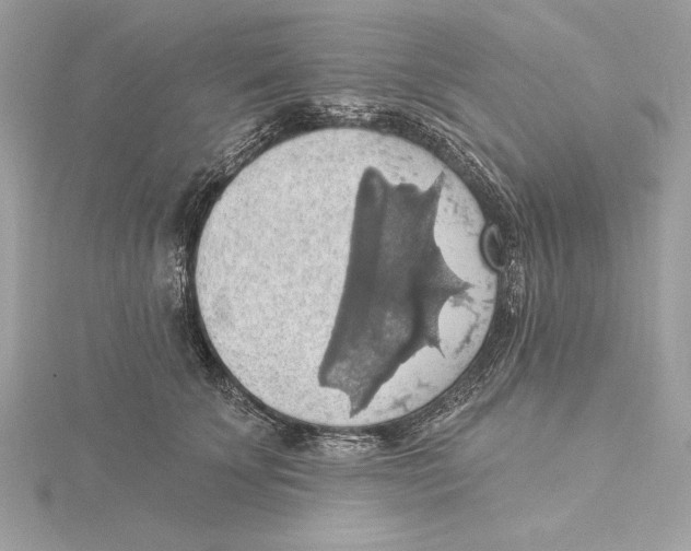 X0000115360707200912011113