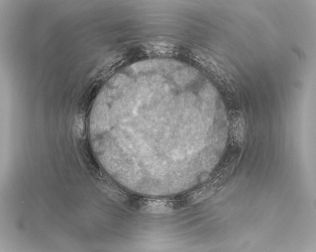 X0000115360709200912011113