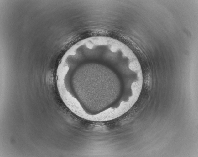 X0000115360715200912011113