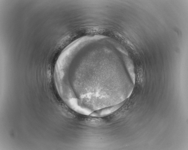 X0000115360716200912011113