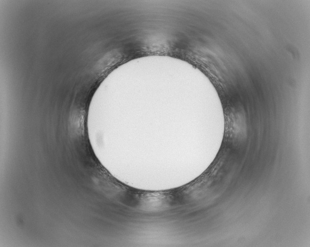 X0000115360717200912011113