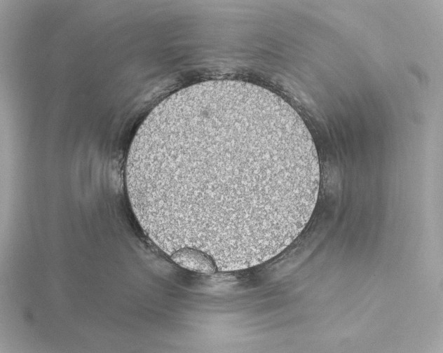 X0000115360719200912011113