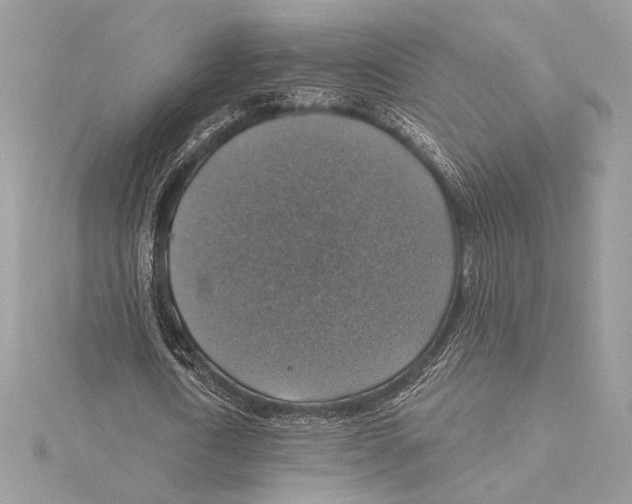 X0000115360722200912011112