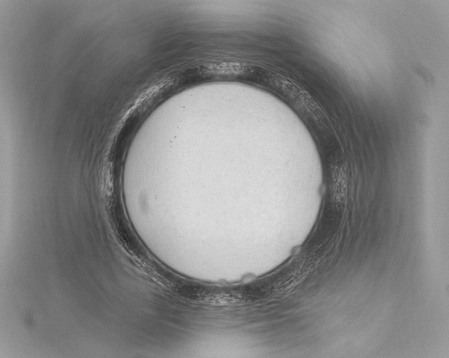 X0000115360731200912011112