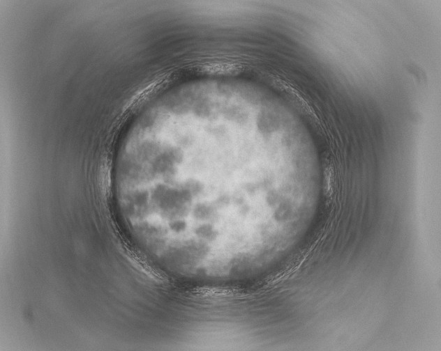 X0000115360733200912011112