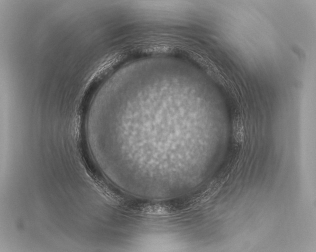 X0000115360735200912011112
