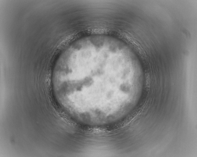 X0000115360737200912011112