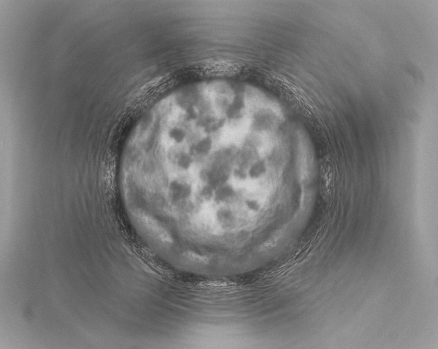 X0000115360745200912011113