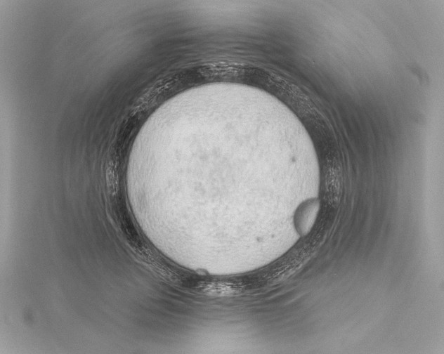 X0000115360751200912011113
