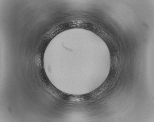 X0000115360754200912011113
