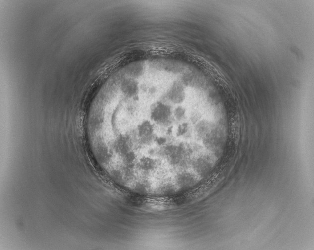 X0000115360757200912011113
