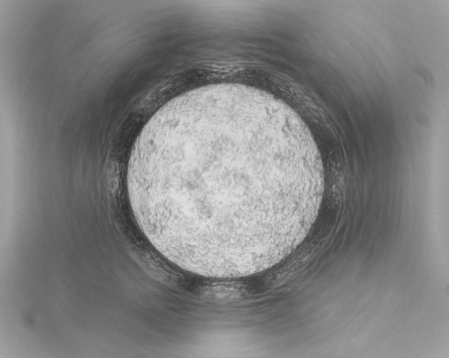 X0000115360758200912011113