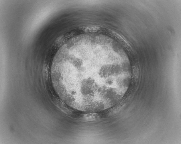 X0000115360761200912011113