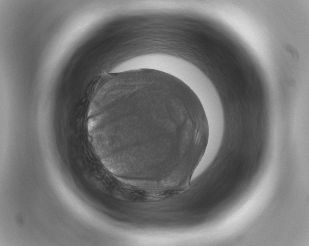 X0000115360766200912011113