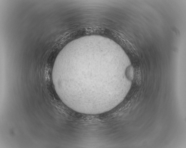 X0000115360770200912011112
