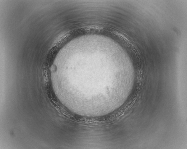 X0000115360774200912011112