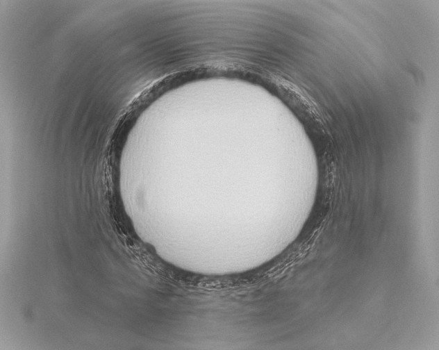 X0000115360776200912011112
