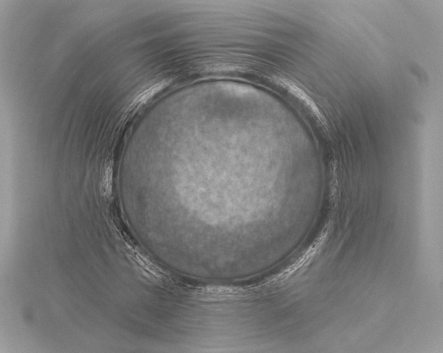 X0000115360777200912011112