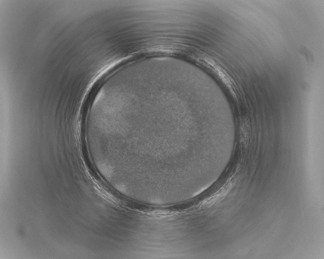 X0000115360779200912011112