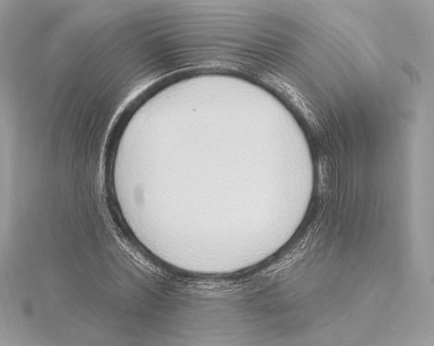X0000115360780200912011112