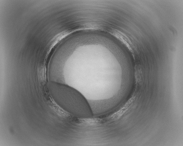 X0000115360781200912011112