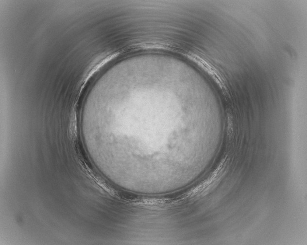 X0000115360782200912011112