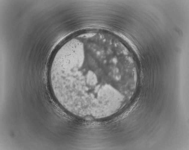 X0000115360783200912011112