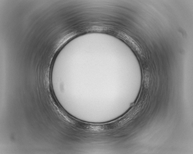 X0000115360794200912011112
