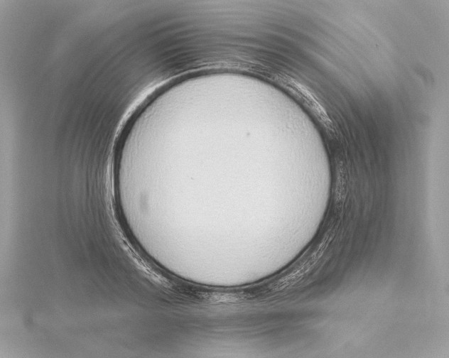 X0000115360796200912011112