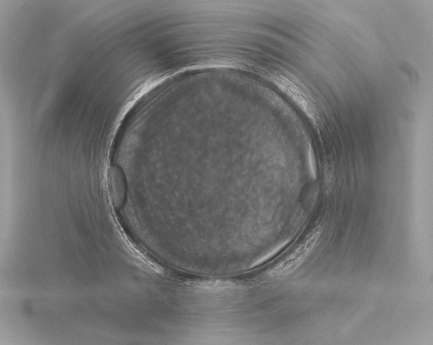 X0000115360797200912011112
