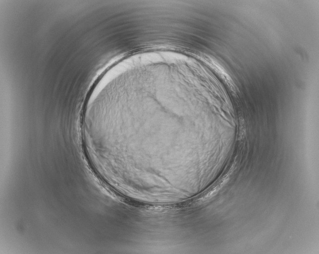 X0000115360806200912011112