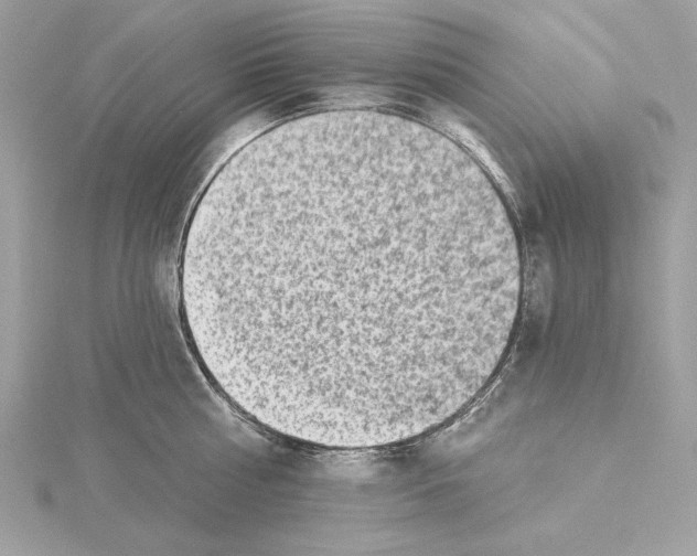 X0000115360810200912011112